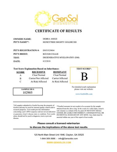 RushTestDM-carrier vxvGensolResult102905.pdf.jpg